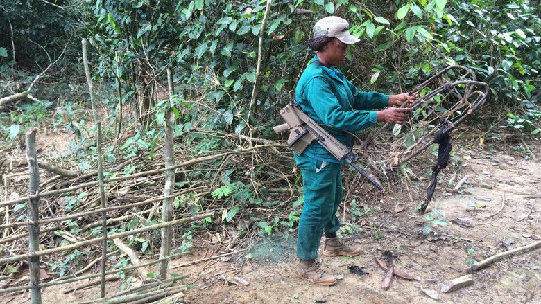 кадр из фильма Silent Forests