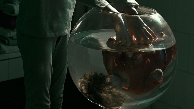 кадр из фильма Silentium