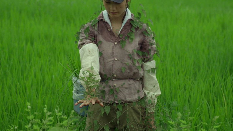 кадр из фильма Маленький лес. Лето, осень