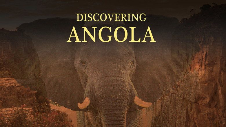 кадр из фильма Discovering Angolaang