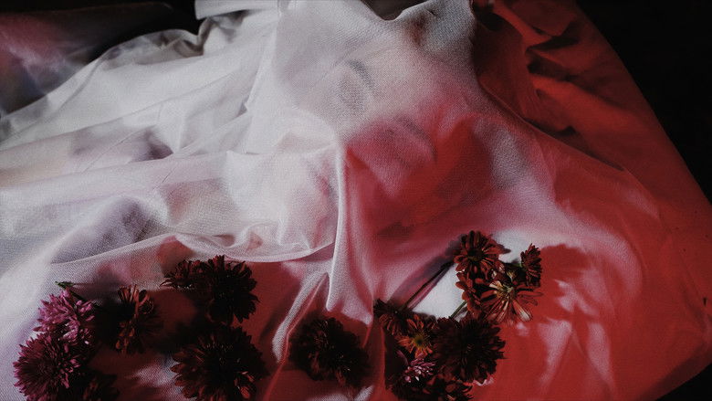 кадр из фильма Angustia