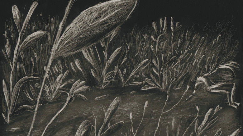 кадр из фильма Elo