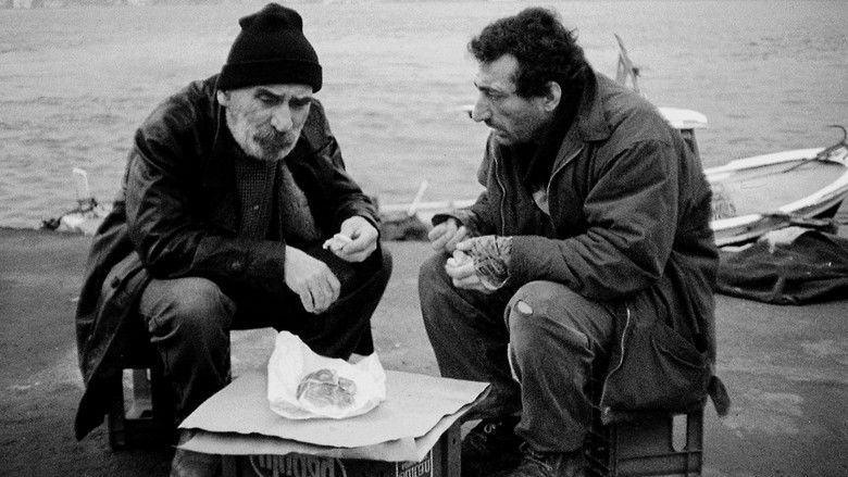 кадр из фильма Кувыркание в гробу