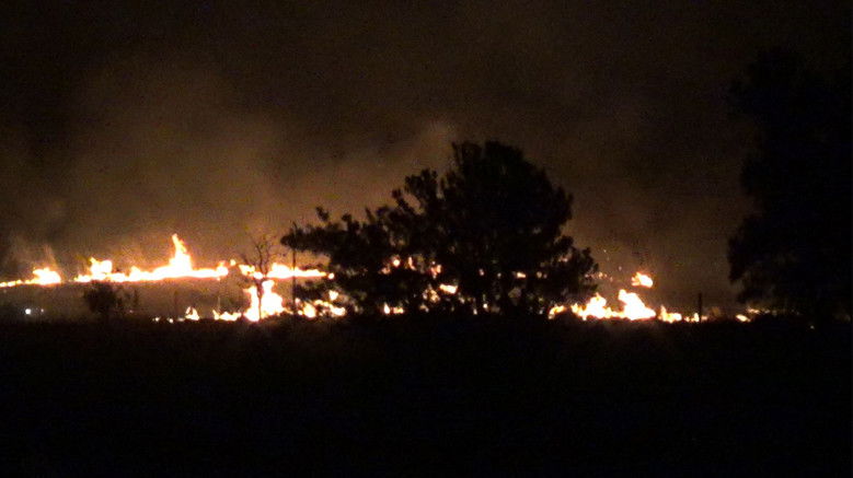 кадр из фильма YGGDRASILL