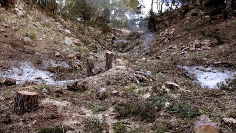 кадр из фильма Où en êtes-vous, Barbet Schroeder ?