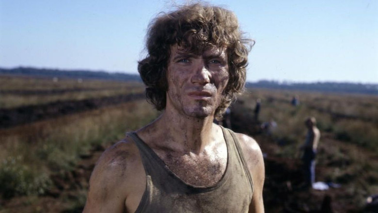 кадр из фильма Die Verrohung des Franz Blum