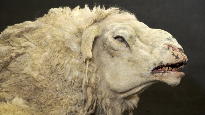 кадр из фильма Паршивая овца