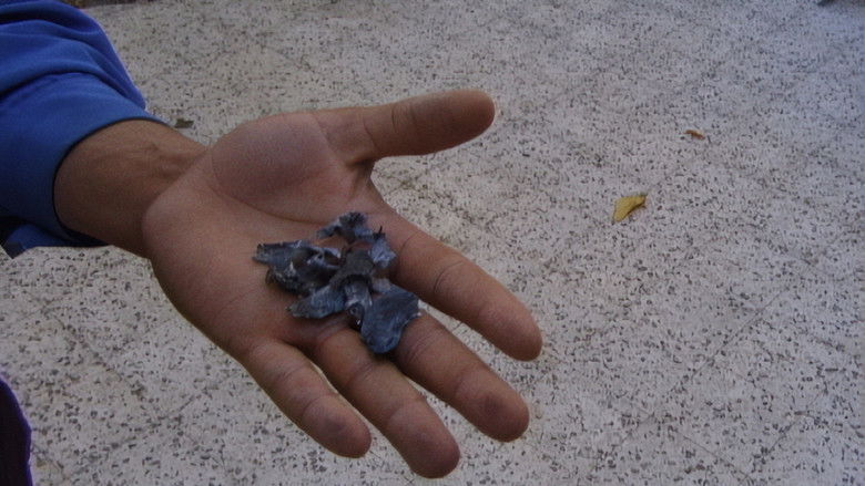 кадр из фильма Mit Hasan in Gaza