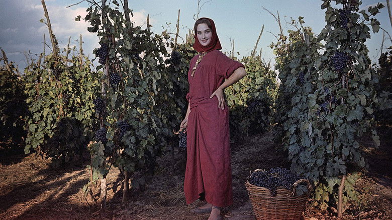 кадр из фильма Казаки