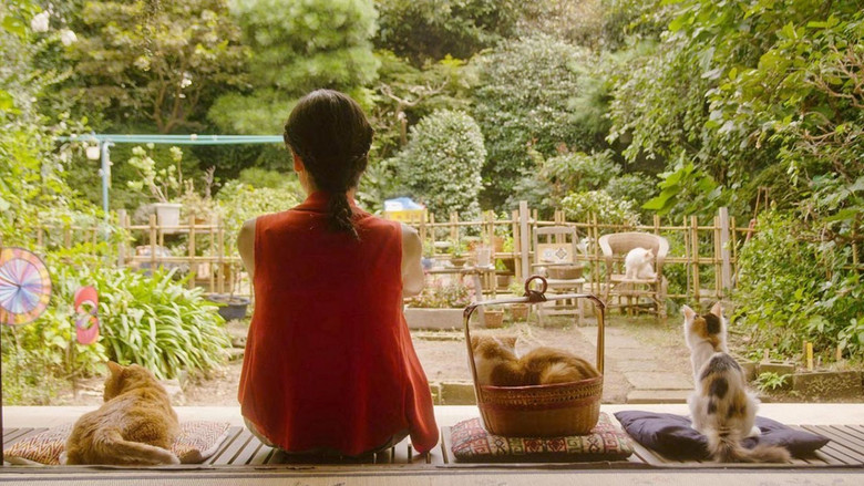 кадр из фильма Кошка напрокат