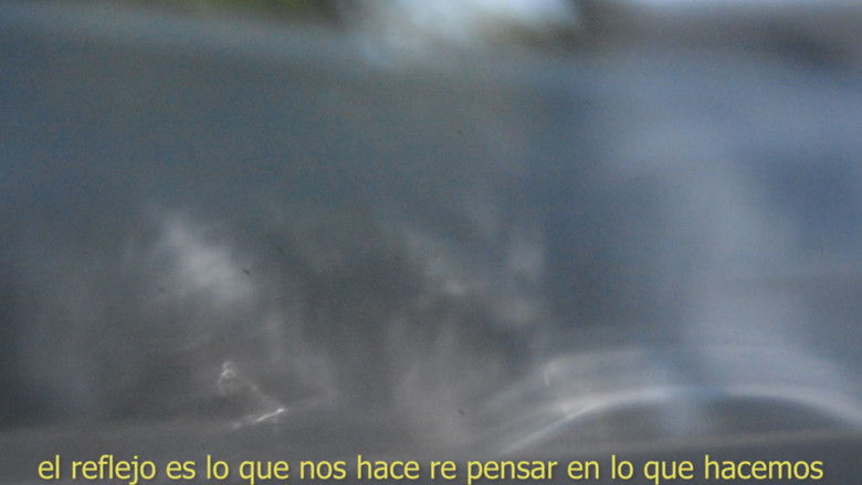 кадр из фильма El retratar la vida de Mekas y el retratarse en la vida de Varda