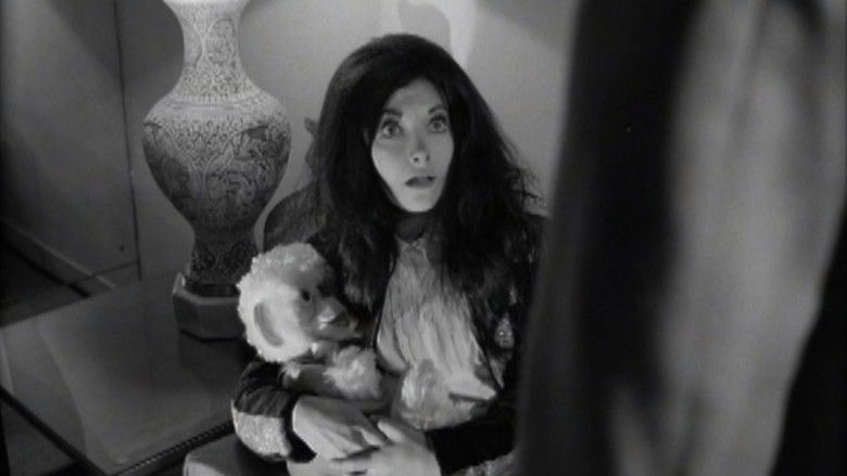 Признания психованной кошки