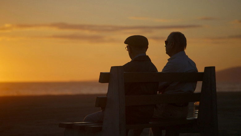 кадр из фильма Das erste Jahrhundert des Walter Arlen