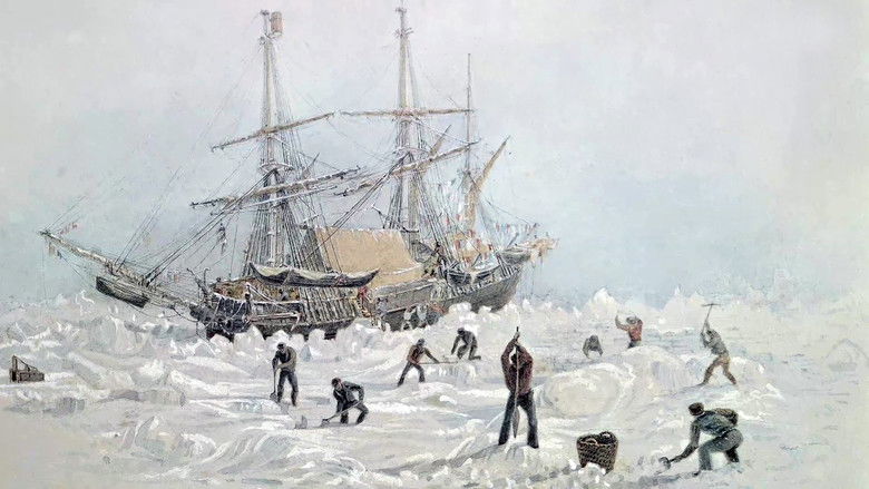 кадр из фильма Épaves, l'or des grands fonds