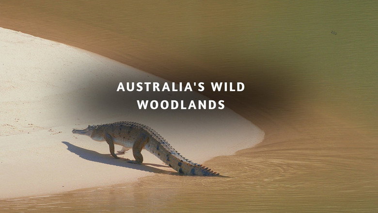 кадр из фильма Australia's Wild Woodlands