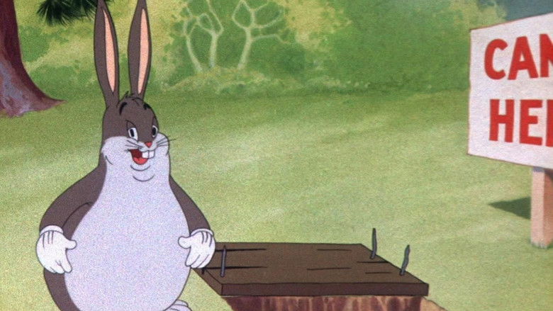 Кволичьи пвоблемы