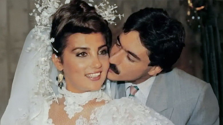 кадр из фильма Babamız Eğleniyor