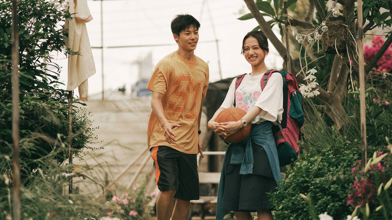 кадр из фильма 青春18x2 君へと続く道