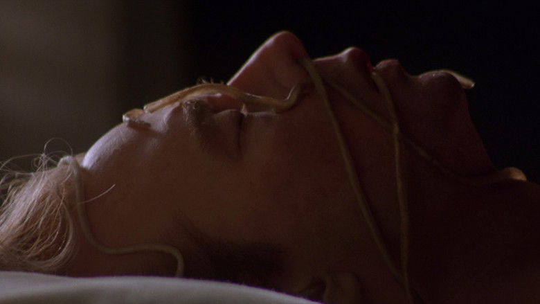 кадр из фильма Похитители тел