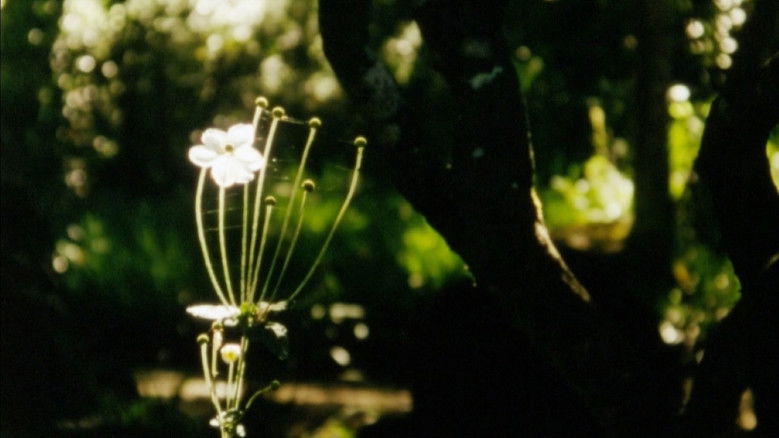 кадр из фильма O Death