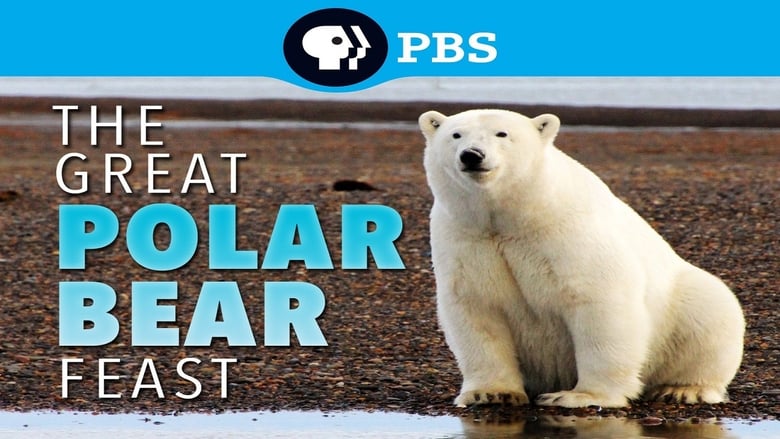 кадр из фильма The Great Polar Bear Feast