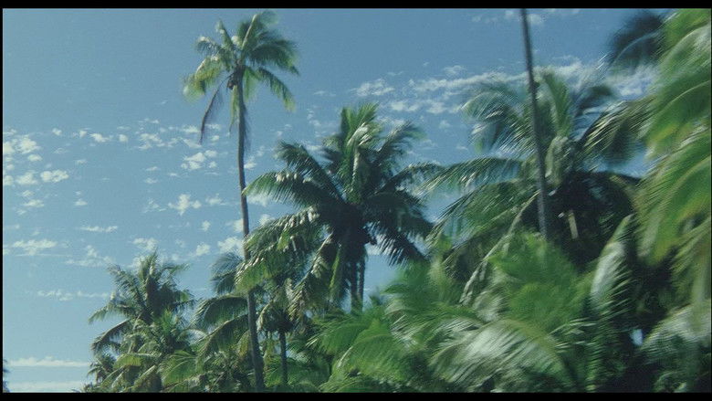 кадр из фильма 天国にいちばん近い島