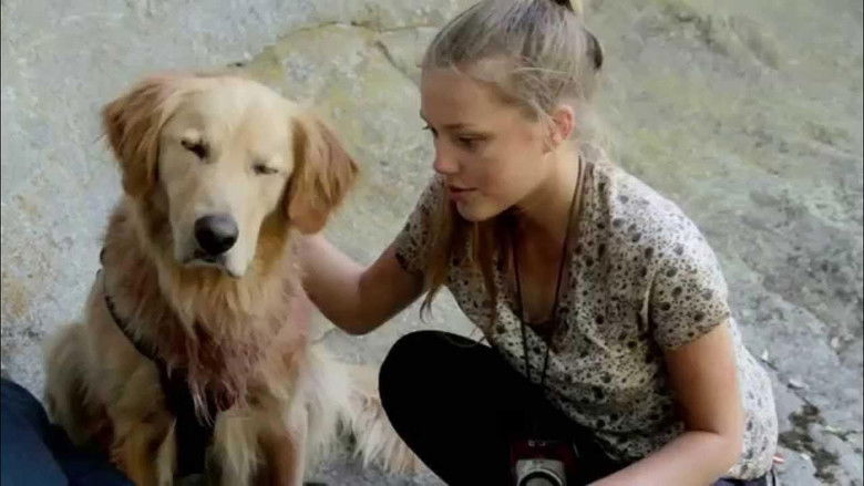 кадр из фильма Army Dog