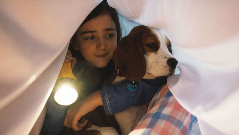 кадр из фильма Собачья жизнь 2