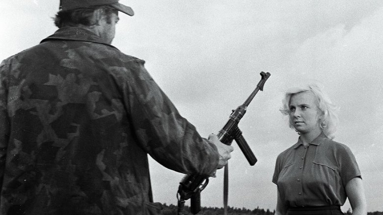 Оглянись в пути