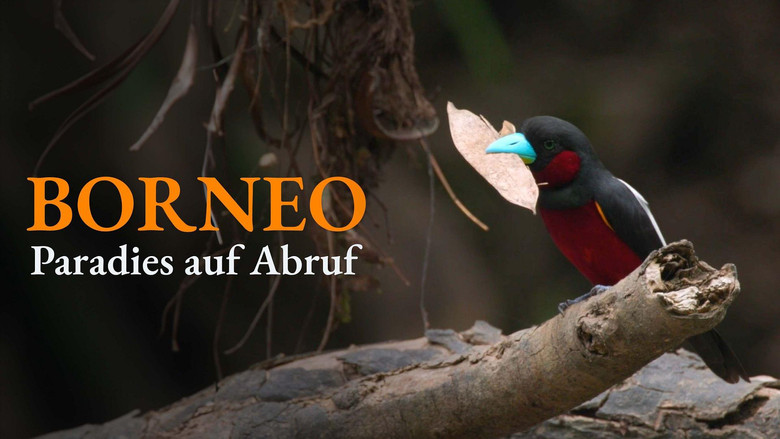 кадр из фильма Bornéo, la jungle de l’espoir