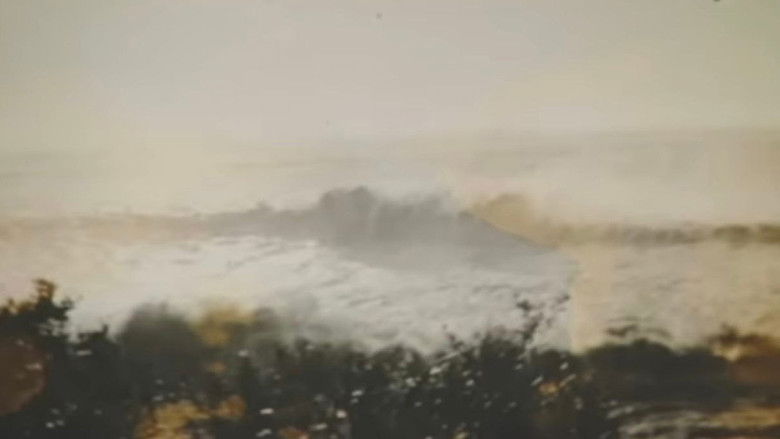 кадр из фильма Valdivia 1960, El Gran Terremoto