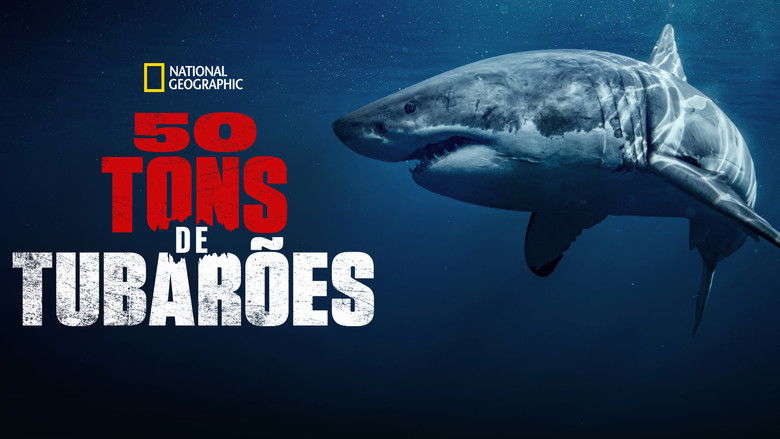 кадр из фильма 50 Shades of Sharks
