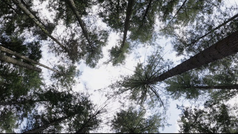 кадр из фильма What's The Purpose