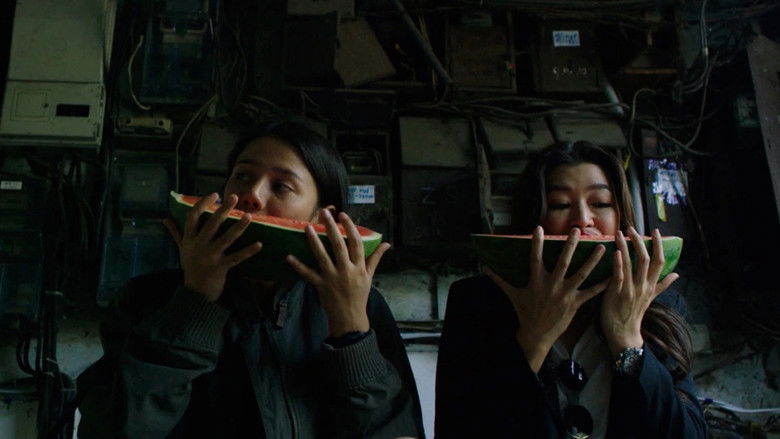 кадр из фильма What Happened to the Wolf?