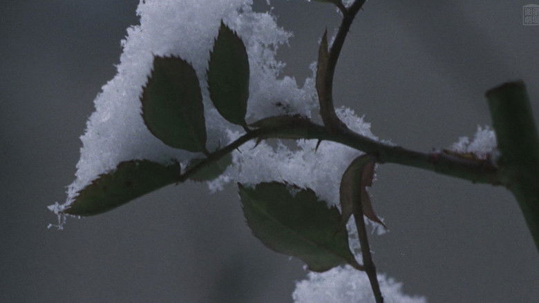 кадр из фильма 愛奴