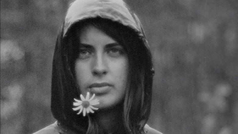 кадр из фильма Le temps perdu