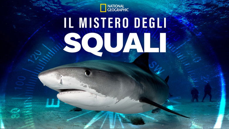 кадр из фильма Sharks of the Bermuda Triangle