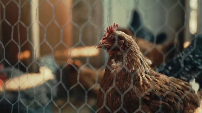 кадр из фильма Pollo Loco