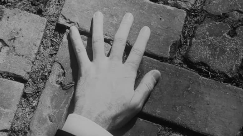 кадр из фильма The Garden, the Artist, & the Vampire