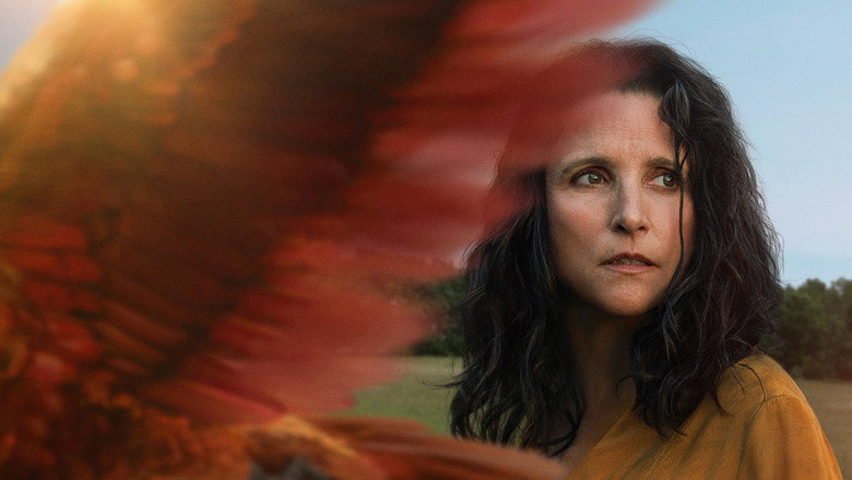 кадр из фильма Тьюздей