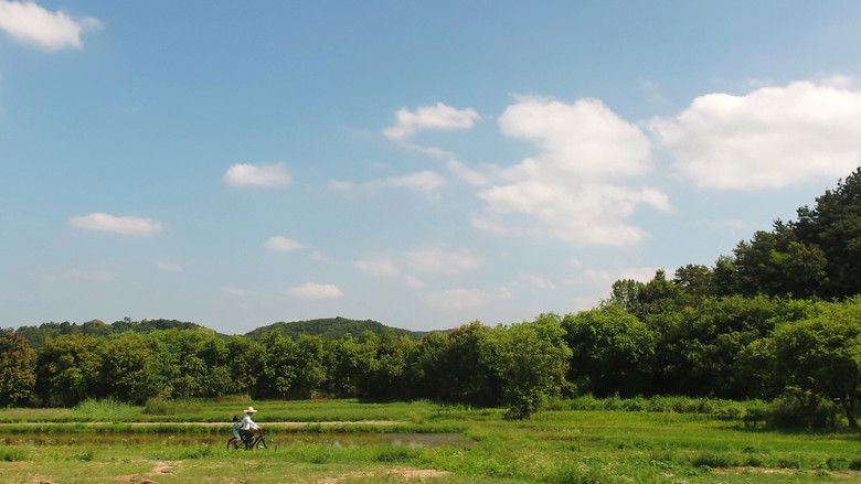 кадр из фильма 물의 기억