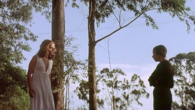 кадр из фильма A Casa Assassinada