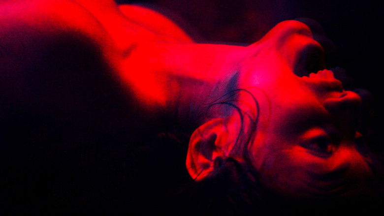 кадр из фильма Мы - это плоть