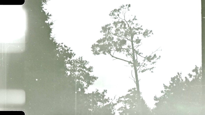 кадр из фильма use the red sword...