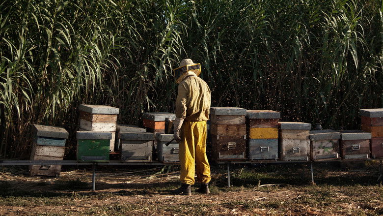 кадр из фильма Чудеса