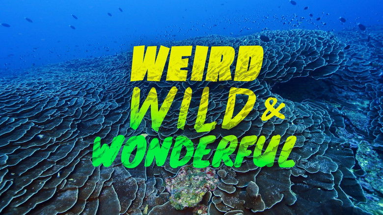 кадр из фильма Weird, Wild, and Wonderful