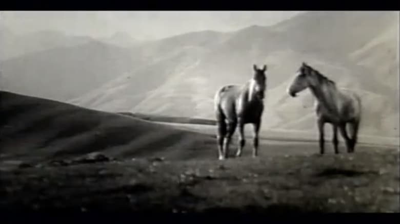 кадр из фильма Это лошади