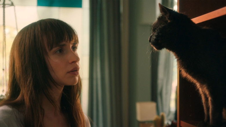 кадр из фильма Я — кот