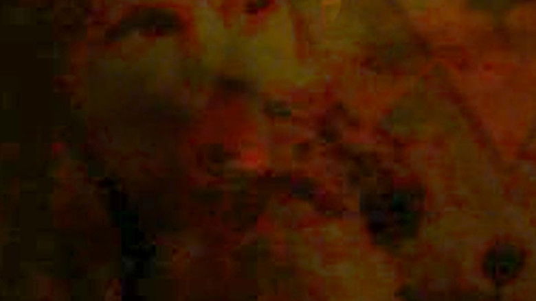 кадр из фильма Dogs I Love, People I Love