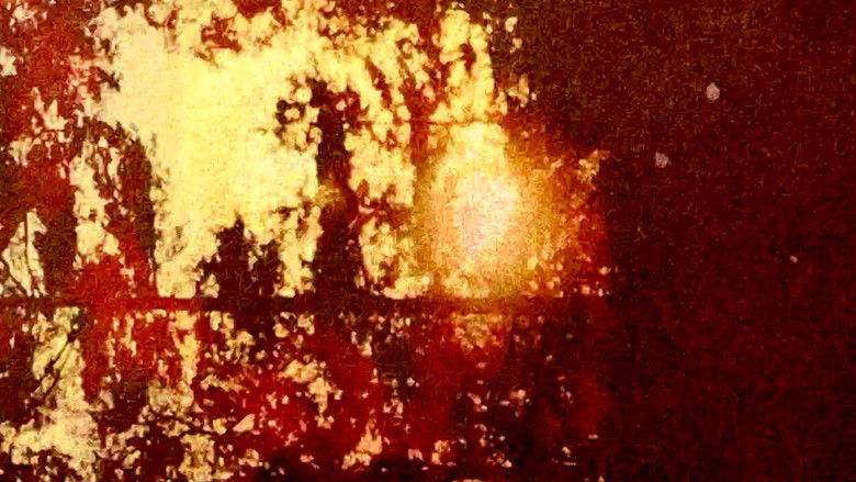 кадр из фильма Poraí